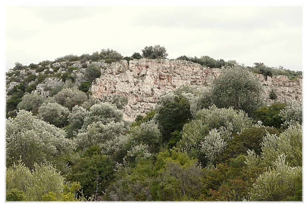 Le Steppe del Gargano